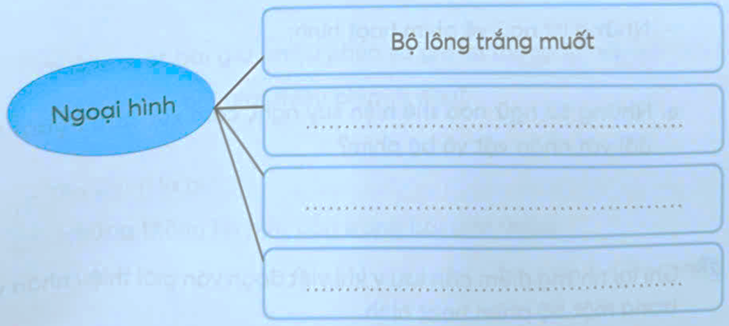 Đọc đoạn văn ở bài tập 1 (SHS Tiếng Việt 5, tập một, trang 143) và thực hiện yêu cầu.  a. Cho biết đoạn văn tập trung giới thiệu về nhân vật nào.  b. Xác định phần mở đầu, triển khai, kết thúc của đoạn văn và nêu nội dung của từng phần.  Mở đầu  Từ đầu đến ………….  	        Triển khai  Tiếp theo đến …………….  	        Kết thúc  Phần còn lại.          	        c. Phần triển khai giới thiệu những đặc điểm nào của nhân vật thỏ trắng?        d. Những chi tiết nào trong đoạn văn giúp em nhận ra đây là nhân vật trong phim hoạt hình?  - Những chi tiết về hình ảnh, âm thanh:  + Hình ảnh:  + Âm thanh:  - Những từ ngữ về phim hoạt hình:  e. Những từ ngữ nào thể hiện suy nghĩ, cảm xúc của người xem đối với nhân vật và bộ phim? (ảnh 1)