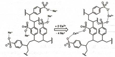 Cationite là một loại nhựa trao đổi cation được sử dụng để loại bỏ ion \({\rm{C}}{{\rm{a}}^{2 + }},{\rm{M}}{{\rm{g}}^{2 + }}.\) Khi nước cứng đi qua cột nhựa, các ion \({\rm{C}}{{\rm{a}}^{2 + }},{\rm{M}}{{\rm{g}}^{2 + }}\) (kí hiệu chung là \({{\rm{M}}^{2 + }}\)) sẽ được giữ lại và thay thế bằng các ion \({{\rm{H}}^ + },{\rm{N}}{{\rm{a}}^ + }\) theo phản ứng sau: \({{\rm{M}}^{2 + }} + 2{\rm{R}} - {\rm{S}}{{\rm{O}}_3}{\rm{X}} \to {\left( {{\rm{R}} - {\rm{S}}{{\rm{O}}_3}} \right)_2}{\rm{M}} + 2{{\rm{X}}^ + }\left( {{{\rm{X}}^ + }{\rm{l\`a  }}{{\rm{H}}^ + }{\rm{hoac N}}{{\rm{a}}^ + }} \right)\) (ảnh 1)