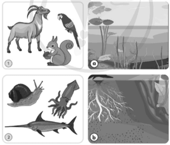Em hãy chọn môi trường sống phù hợp với các loại sinh vật (ảnh 1)