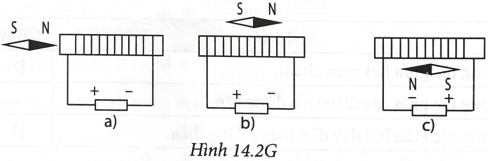 Hãy xác định cực của các kim nam châm trong Hình 14.2. (ảnh 2)