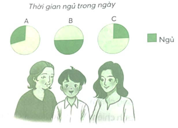 Thời gian ngủ trong một ngày của bà, mẹ và Bi lần lượt là 25%, 30%, 50%. Nối mỗi biểu đồ với người phù hợp. (ảnh 1)