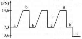 Bằng phương pháp sử dụng các nucleotide phóng xạ đưa vào môi trường nuôi cấy tế bào, các nhà khoa học có thể xác định hàm lượng DNA ở người (2n = 46) được biểu diễn trong đồ thị như hình bên. Dựa vào đồ thị, nhận xét nào sau đây đúng?  (ảnh 1)