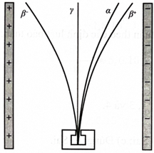Đặt một số nguồn phóng xạ trong vùng điện trường đều tạo bởi hai bản kim loại tích điện trái dấu như Hình 17.3. (ảnh 2)