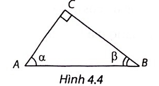 Chọn phương án đúng. Cho α, β là hai góc nhọn trong tam giác vuông ABC (H.4.4). Khi đó   A. sin α = tan β. B. cos α = cot β. C. tan α = −cot β. D. cot α = tan β. (ảnh 1)