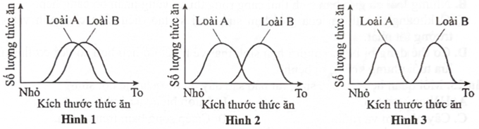 Sơ đồ mô tả ổ sinh thái về kích thước thức ăn của 2 loài A và B được thể hiện ở hình 1, 2 và 3 bên dưới. Loài A và loài B sẽ không cạnh tranh nhau về thức ăn khi ổ sinh thái về kích thước thức ăn của 2 loài được thể hiện ở hình nào? (ảnh 1)