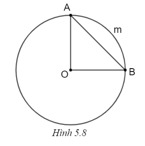 Chọn phương án đúng. Cho đường tròn (O; R), vẽ dây \(AB = \sqrt 2 R\) (H.5.8). Số đo của cung AmB là   A. 45°. B. 90°. C. 270°. D. 60°. (ảnh 1)