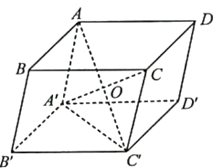 Cho hình hộp ABCD.A'B'C'D' có AC' và A'C cắt nhau tại O. Cho biết AO = a. Tính theo a độ dài các vectơ: (ảnh 1)