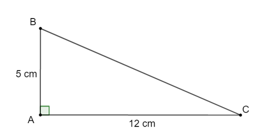 Một tam giác vuông có hai cạnh góc vuông đo được 5 cm, 12 cm. Hỏi sin của  (ảnh 1)