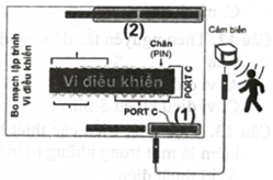 Theo sơ đồ khối chức năng của một bo mạch lập trình như hình bên, các chân của cổng I/O (I/O Port) được kết nối tới các chốt cắm nối dây tiện dụng ở các khu vực (1), (2). Các chốt cắm này giúp cho việc trao đổi dữ liệu giữa khối I/O của vi điều khiển và môi trường bên ngoài được thực hiện một cách nhanh chóng và thuận tiện. Các khối (1), (2) như trong hình bên gọi chung là (ảnh 1)