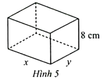 Người ta muốn chế tạo một chiếc hộp hình chữ nhật có thể tích 800 cm3 với yêu cầu dùng ít vật liệu nhất.  Chiều cao hộp là 8 cm, các kích thước khác là x (cm), y (cm) với x > 0 và y > 0. (ảnh 1)