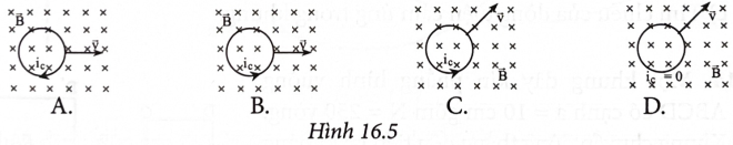 Trường hợp nào trong Hình 16.5 là đúng khi cho vòng dây tịnh tiến với vận tốc  trong từ trường đều (ảnh 1)