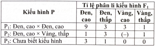 c. Ở F1 của P2, kiểu hình lông vàng, chân cao chiếm tỉ lệ là 37,5%. (ảnh 1)