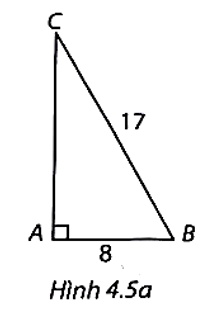 Cho tam giác ABC vuông tại A. Tính các tỉ số lượng giác sin, côsin, tang, côtang của các góc nhọn B và C khi biết: a) AB = 8 cm, BC = 17 cm; b) AC = 0,9 cm, AB = 1,2 cm. (ảnh 1)