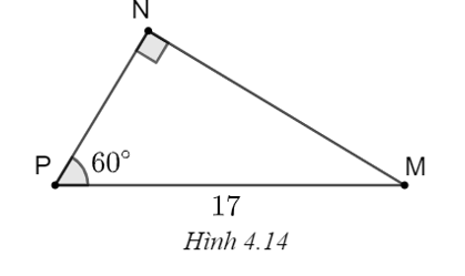 Chọn phương án đúng.  Cho tam giác vuông MNP như Hình 4.14. Tìm khẳng định sai trong các khẳng định sau? (ảnh 1)