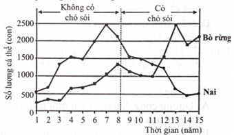 Nai và bò rừng là 2 loài ăn cỏ sống trong cùng 1 khu vực. Hình bên mô tả những thay đổi về số lượng cá thể trong quần thể của 2 loài này trước và sau khi những con chó sói (loài ăn thịt) du nhập vào môi trường sống của chúng.   Dựa trên các thông tin có trong đồ thị kể trên, phát biểu nào sau đây không đúng?  (ảnh 1)