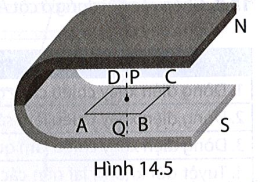 Giải thích tại sao khi cho khung dây dẫn ABCD đặt trong từ trường của nam châm như Hình 14.5 dịch (ảnh 1)