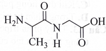 Cho peptide X có công thức cấu tạo như hình bên. Khi thuỷ phân hoàn toàn X trong môi trường acid HCl thu được các sản phẩm hữu cơ có công thức   (ảnh 1)