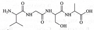 Một peptide có công thức cấu tạo như sau:   Có bao nhiêu liên kết peptide có trong phân tử peptide trên? (ảnh 1)