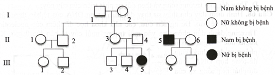 Phả hệ dưới đây cho biết sự di truyền của một bệnh ở người do một trong hai alen A và a quy định. Đặc điểm di truyền của gene gây bệnh thuộc dạng nào sau đây? (ảnh 1)
