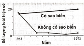 Trong các quần xã ngập nước triều trên bãi đá ở miền Tây Bắc Mỹ có một loài sao biển tương đối hiếm. Sao biển ăn thịt loài trai là loài ưu thế trong quần xã.  (ảnh 1)