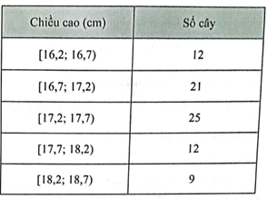 Chiều cao của một số cây giống sau khi nảy mầm được 4 tuần được biểu diễn ở bảng sau:  Tính phương sai và độ lệch chuẩn của mẫu số liệu ghép nhóm trên (kết quả làm tròn đến hàng phần trăm). (ảnh 1)