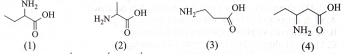 Cho các chất có công thức cấu tạo như sau:   Có bao nhiêu chất trong số các chất trên không phải là \(\alpha \)-amino acid? (ảnh 1)