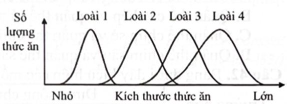 Nghiên cứu ổ sinh thái về số lượng và kích thước thức ăn trong môi trường của 4 loài sinh vật, có các đồ thị trong hình dưới đây.   Nhận định nào sau đây sai khi phân tích đồ thị trên? (ảnh 1)