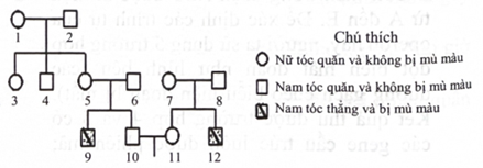 Trong quy luật di truyền phân li độc lập, với các gene trội lặn hoàn toàn. Nếu P thuần chủng khác nhau bởi 3 cặp tính trạng tương phản thì số loại kiểu gene khác nhau ở F2 là bao nhiêu? (ảnh 1)