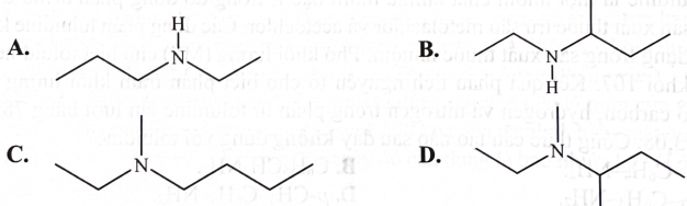 Hợp chất Y có tên: N-ethyl- N-methylbutan-2-amine. Công thức cấu tạo của Y là (ảnh 1)