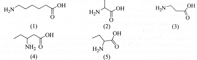 Cho các chất có công thức cấu tạo như sau:   Có bao nhiêu chất trong số các chất trên không phải là amino acid có trong thiên nhiên/ trong cơ thể sinh vật? (ảnh 1)