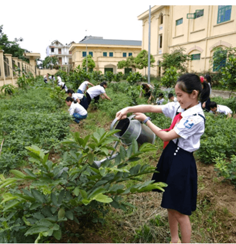 Em hãy sưu tầm một số hình ảnh về việc bảo vệ môi trường sống và chia sẻ với các bạn trong lớp. (ảnh 1)