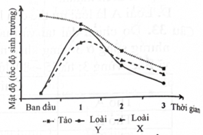 Ở một hệ sinh thái có 2 loài sên biển X và Y là động vật ăn tảo. Một thí nghiệm được tiến hành để tìm hiểu tác động của mật độ sên biển lên khả năng sinh trưởng của chúng và mật độ của tảo. Số liệu được trình bày như hình bên.   Phát biểu nào sau đây sai khi nói về hệ sinh thái trên?  (ảnh 1)