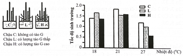Loài rong X sống ở vùng biển ven bờ Z, nơi có nhiệt độ mùa hè hiếm khi cao hơn 18 °C. Thực hiện thí nghiệm nuôi loài rong X trong 3 chậu nuôi (hình a), ở 3 điều kiện nhiệt độ: 18 °C, 21 °C, 27 °C, người ta thu được kết quả ở hình b. (ảnh 1)