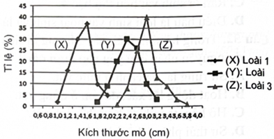 Xét 3 loài chim ăn hạt sống trong cùng 1 khu vực. Ô sinh thái dinh dưỡng thể hiện thông qua tỉ lệ phần trăm các loại kích thước mỏ của 3 loài trên được biểu diễn ở đồ thị sau. Dựa vào đồ thị, dự đoán nào sau đây về 3 loài chim trên đúng?    (ảnh 1)