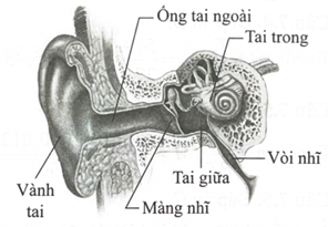 Mùa hè vừa qua, Minh được bố cho đi du lịch tại Phú Quốc bằng đường hàng không. Khi máy bay cất và hạ cánh, (ảnh 1)