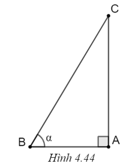 Cho tam giác ABC vuông tại A, có \(\widehat B = \alpha \) (H.4.44). (ảnh 1)