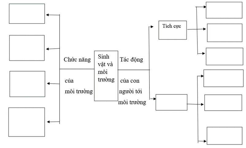 Media VietJack