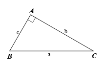 Cho tam giác \(ABC\) vuông tại \(A\) có \[BC = a,\] \[AC = b,\,\,AB = c.\] Khẳng định nào sau đây là đúng? A. \[\sin B = \frac{c}{a}\].	B. \[c = \frac{b}{{\cot B}}\].	C. \[c = b \cdot \tan C\].	D. \[b = c \cdot \cos C\]. (ảnh 1)