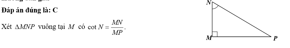 Cho tam giác \[MNP\] vuông tại \(M.\) Khi đó \(\cot N\) bằng 	A. \(\frac{{MN}}{{NP}}.\)	B. \(\frac{{MP}}{{NP}}.\)	C. \(\frac{{MN}}{{MP}}.\)	D. \(\frac{{MP}}{{MN}}.\) (ảnh 1)