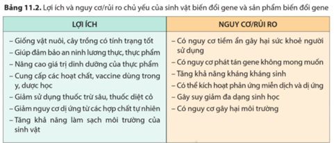 Dựa trên thông tin trong bảng 11.2, lấy ví dụ để tranh luận, phản biện các lợi ích hoặc nguy cơ/rủi ro của sinh vật biến đổi gene và sản phẩm biến đổi gene. (ảnh 1)