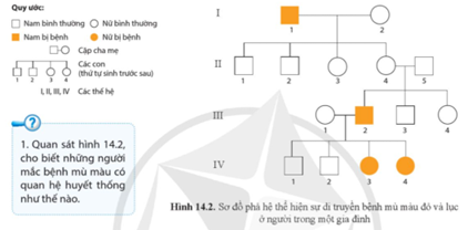 Quan sát hình 14.2, cho biết những người mắc bệnh mù màu có quan hệ huyết thống như thế nào? (ảnh 1)