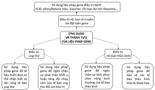 Vẽ sơ đồ tư duy các ứng dụng và thành tựu của liệu pháp gene. (ảnh 1)