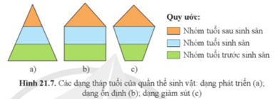 Quan sát hình 21.7, nêu sự khác biệt của ba dạng hình tháp tuổi. (ảnh 1)