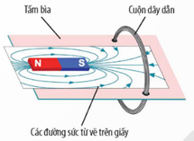 Các đường sức từ xuyên qua tiết diện S của cuộn dây tăng khi   A. đặt nam châm đứng yên ngoài cuộn dây. (ảnh 1)