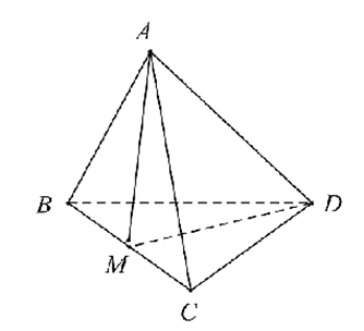 Cho tứ diện đều  A B C D  cạnh  a . Gọi  M  là trung điểm của  B C .  Tính  cos ( −−→ A B , −−→ D M ) . (ảnh 1)