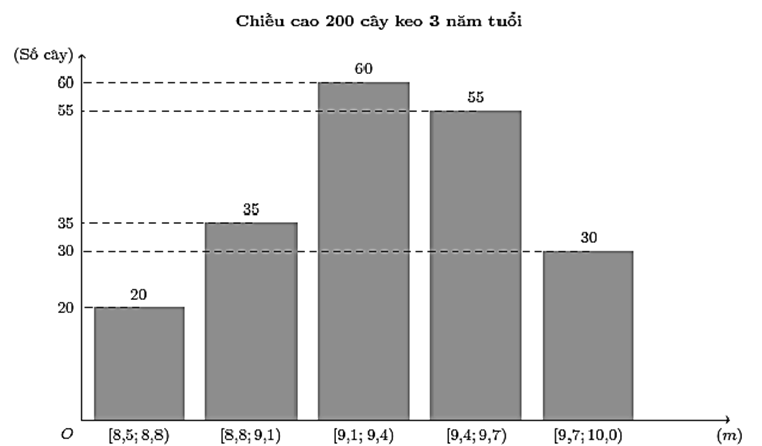  Kết quả đo chiều cao của 200 cây keo 3 năm tuổi ở một nông trường được biểu diễn ở biểu đồ dưới đây:Khoảng tứ phân vị của mẫu số liệu ghép nhóm cho bởi biểu đồ trên là (kết quả làm tròn đến  (ảnh 1)