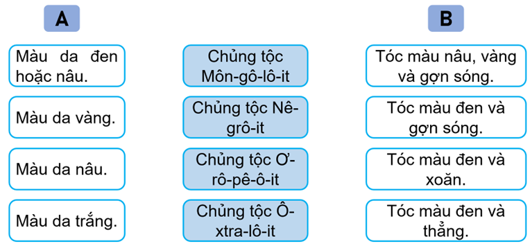 Nối thông tin ở bên trái và bên phải với thông tin ở giữa sao cho phù hợp về đặc điểm ngoại hình của các chủng tộc chính trên thế giới. (ảnh 1)