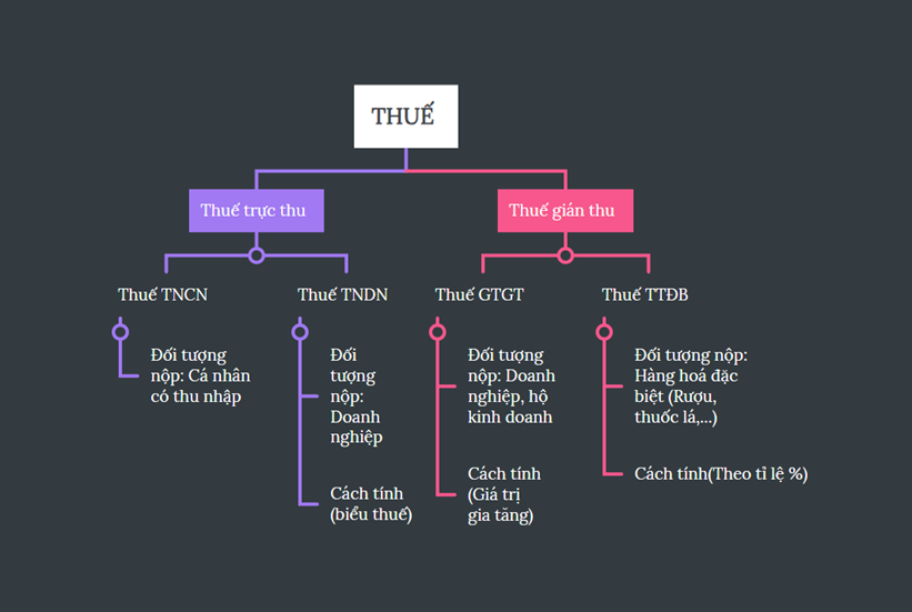 Em hãy cũng bạn tìm hiểu và vẽ sơ đồ tư duy về một số loại thuế cơ bản theo quy định của pháp luật. (ảnh 1)