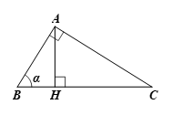 Cho tam giác \(ABC\) vuông tại \(A\) có đường cao \(AH\) và \(\widehat B = \alpha .\) Tỉ số \(\frac{{HA}}{{BA}}\) bằng: 	A. \(\sin \alpha \).	B. \[\cos \alpha \].	C. \(\tan \alpha \).	D. \(\cot \alpha \). (ảnh 1)