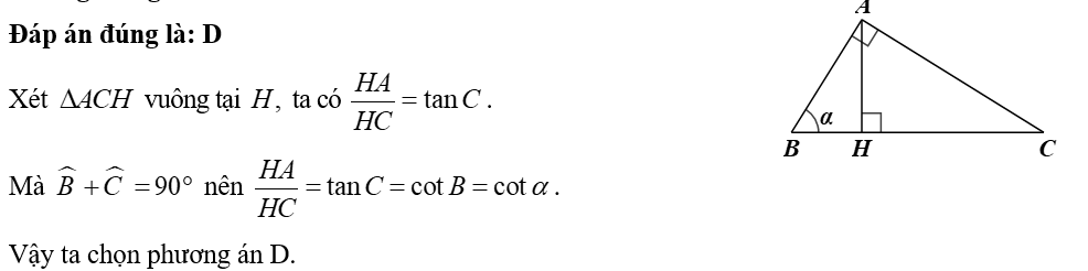 Cho tam giác \(ABC\) vuông tại \(A\) có đường cao \(AH\) và \(\widehat B = \alpha .\) Tỉ số \(\frac{{HA}}{{HC}}\) bằng 	A. \(\sin \alpha \).	B. \[\cos \alpha \].	C. \(\tan \alpha \).	D. \(\cot \alpha \). (ảnh 1)